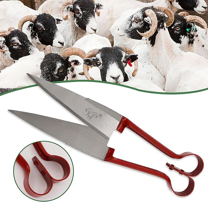 Hand Shears For Sheep Shearing, 6.1-inch Carbon Steel Blade,Classic Style, Carbon Steel Scissors For Alpaca, Pet Horse Dog Shearing (red handle)