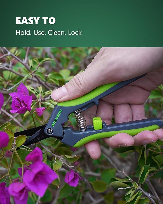 6.5" Gardening Scissors, Sharp Plant Trimming Scissors for Precise Cuts, Stainless Steel Pruning Shears Bonsai Clippers (2-Pack Straight)