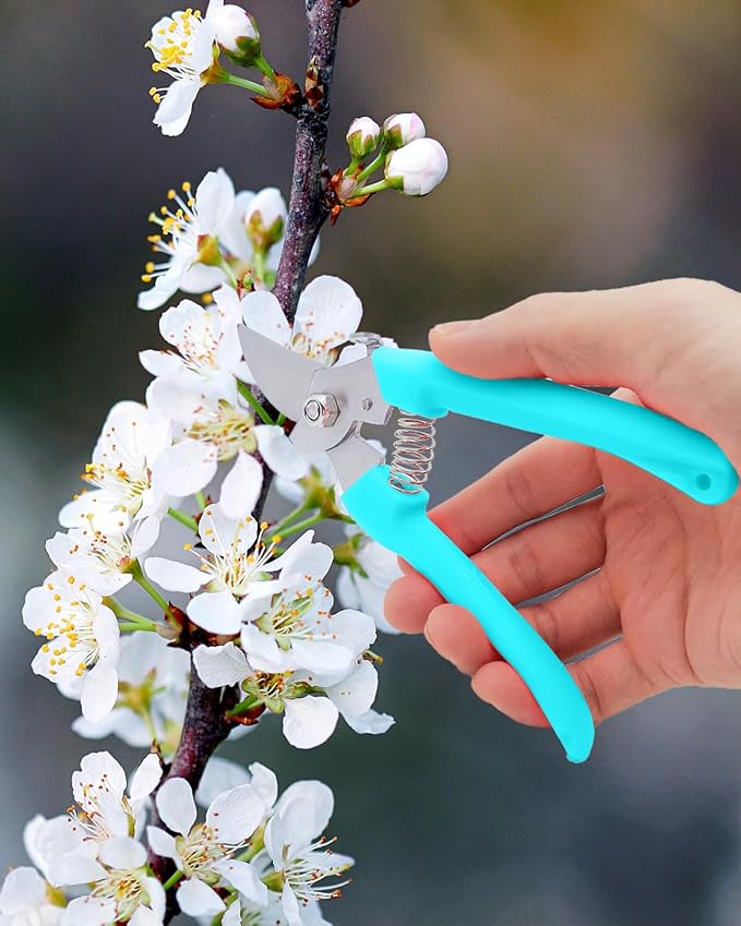 Pruning Shears for Gardening, 1 Pack Garden Scissors for Cutting Fresh Flowers, Floral Clippers for Plants, Fruits (Blue)