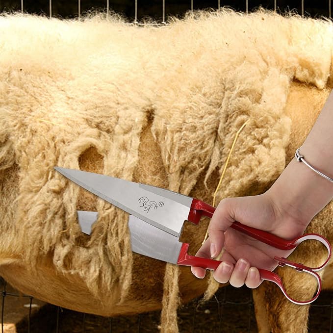 Hand Shears For Sheep Shearing, 6.1-inch Carbon Steel Blade,Classic Style, Carbon Steel Scissors For Alpaca, Pet Horse Dog Shearing (red handle)