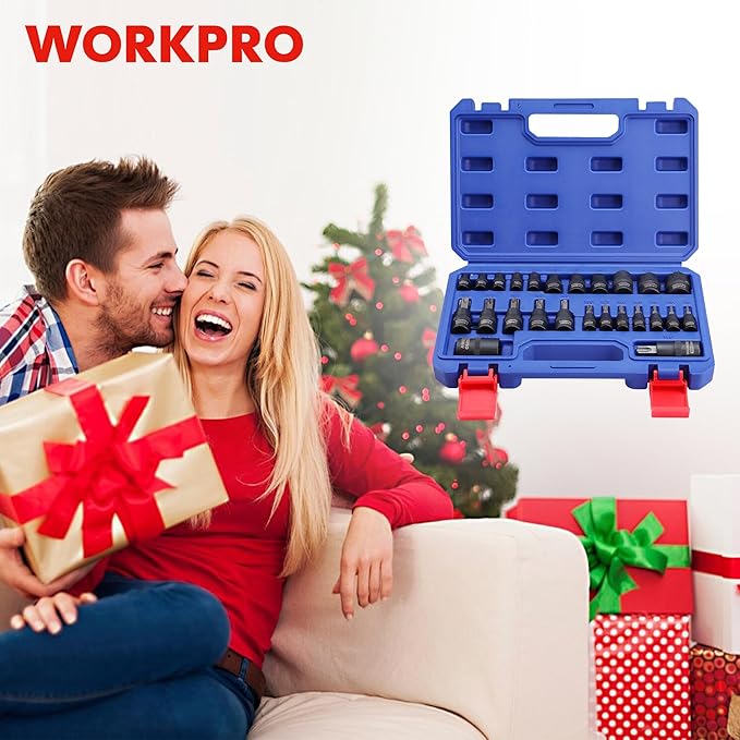 WORKPRO 25-Piece Torx Bit Socket Set, 1/4", 3/8", 1/2" Drive, E4-E22, T8-T60 Female & Torx Socket Set, CR-V & S2 Alloy Steel