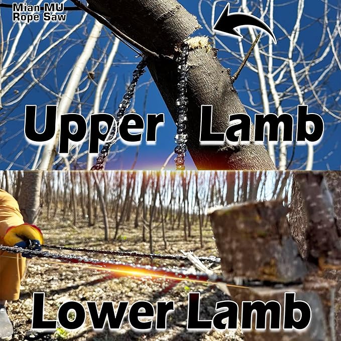 55 Inch High Limb Rope Saw – Dual Sided Pocket Chainsaw with 70 Sharp Teeth 360° – Rope Tree Saw High Limb Tool with Storage Box for Outdoor Adventures