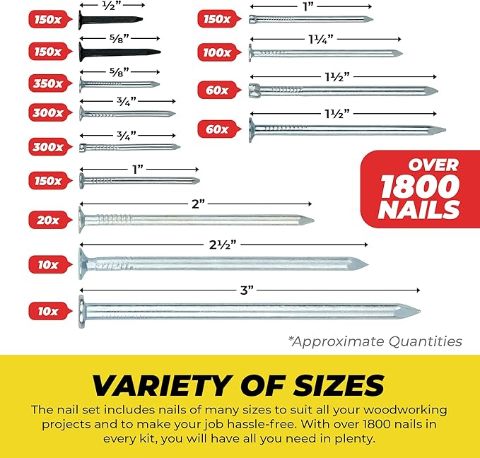 Top Quality Nail Assortment Kit ??Over a 1800 Multipurpose Hardware Nails - 11 Different Sizes ??Non Bendable & Sturdy - Compact Organized Box