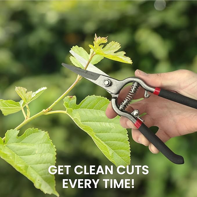 Garden Guru Classic Bypass Pruning Shears Clippers ??Heavy Duty Forged Steel Garden Pruners ??Safety Lock ??Non Slip Comfort Grips ??Cuts up to 1??Diameter ??Professional Bypass Pruners for Gardening