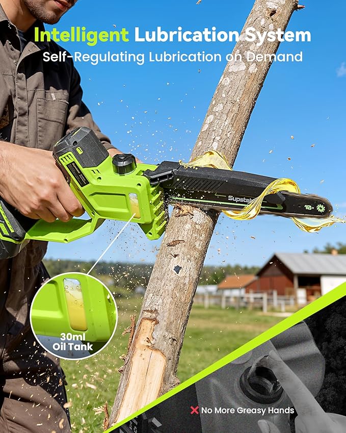 10 Inch Electric Pole Saws for Tree Trimming, 1000W Brushless Pole Saw and Mini Chainsaw 2 in 1, 2 * 4000mAh Battery, Lightweight Tree Saw with Extension Pole, 16Ft Max Reach, Gift for Men Women