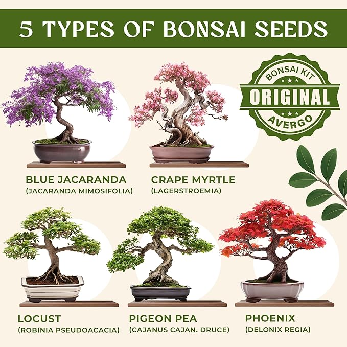 DIY Bonsai Tree Kit for Beginners ??5X Unique Japanese Bonzai Trees | Complete Indoor Bonsai Starter Kit for Growing Bonsai Plants with Tools & Planters ??DIY Gardening Gifts for Women & Men