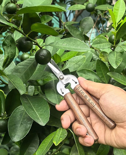 Razor Sharp Pruning Shears for Gardening, Garden Shears Carbon Steel Blade, Precision garden scissors Walnut Wood handle, 6.8??Garden Snips for Trimming Fruits, Vegetables, Flowers, Buds, Bonsai