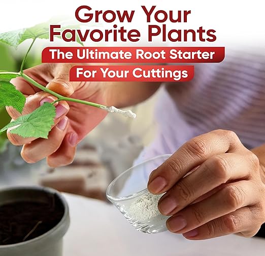 Hormex Rooting Powder #1, 3, 8, 16 (0.10-1.6 IBA) - Rooting Hormone for Delicate & Common Houseplants to Hardwood, Medicinal Plants & Tree Cuttings - Root Stimulator for Plant Cloning & Propagation