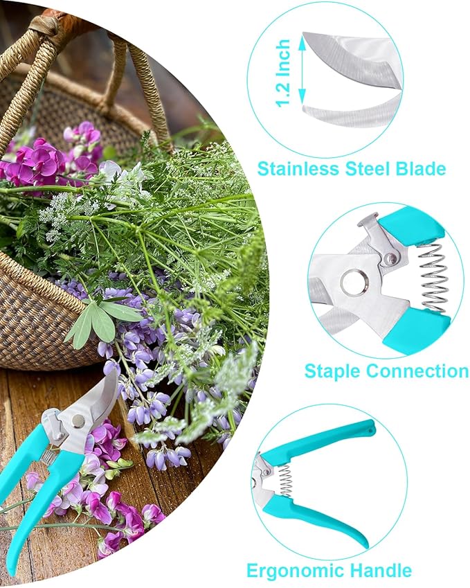 Pruning Shears for Gardening, 1 Pack Garden Scissors for Cutting Fresh Flowers, Floral Clippers for Plants, Fruits (Blue)