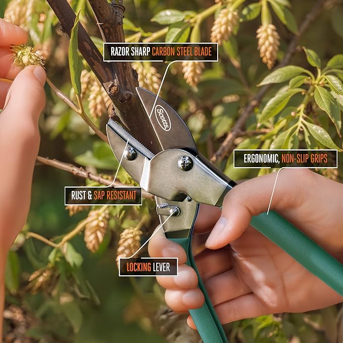 Scotts 2-Piece Pruning Shears Set ??Includes 8 in. Bypass Pruner for Live Plants and 8 in. Anvil Pruner for Dry Stems ??Sharp Carbon Steel Blades and Comfort Grip Handles for Garden and Yard Use
