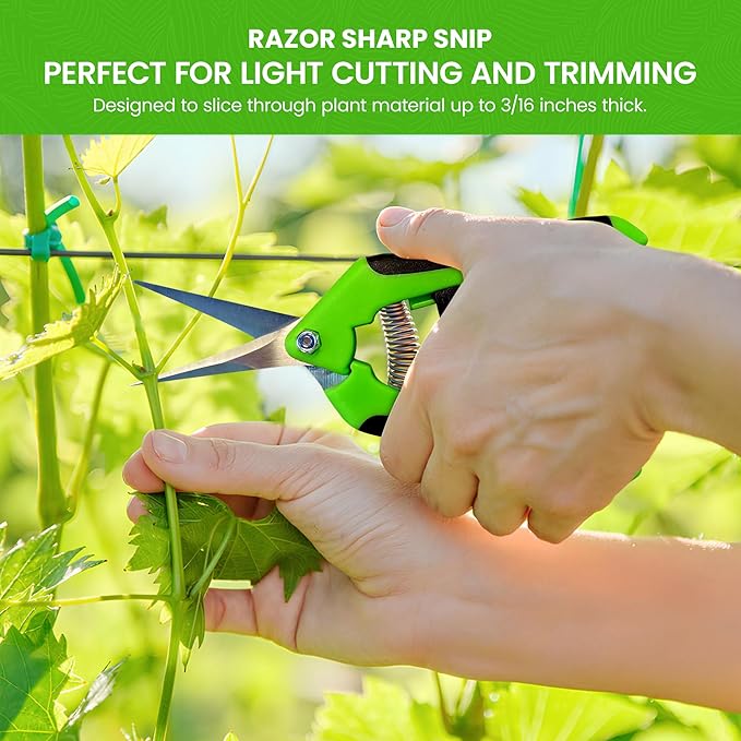GARDEN GURU Razor Sharp Snip ??Professional Garden Pruning Shears Trimmers ??Super Sharp Micro-Tip Precision Stainless Steel Blades - Ergonomic Handles Easy on Arthritic Hands - 1 Case (100 Pcs)