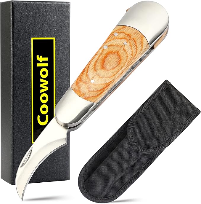 Mushroom Knife with Brush and Sheath, Curved Stainless Steel Blade, Hardwood Handle, 7.06 Inch Folding Design, for Morels, Porcini, Chanterelles, Foraging Mushroom Gifts