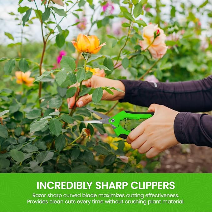 Garden Guru Razor Sharp Snip ??Professional Garden Pruning Shears Trimmers Scissors ??Super Sharp Micro-Tip Precision Stainless Steel Blades - Easy on Arthritic Hands - Soft Ergonomic Handles (2 Pack)