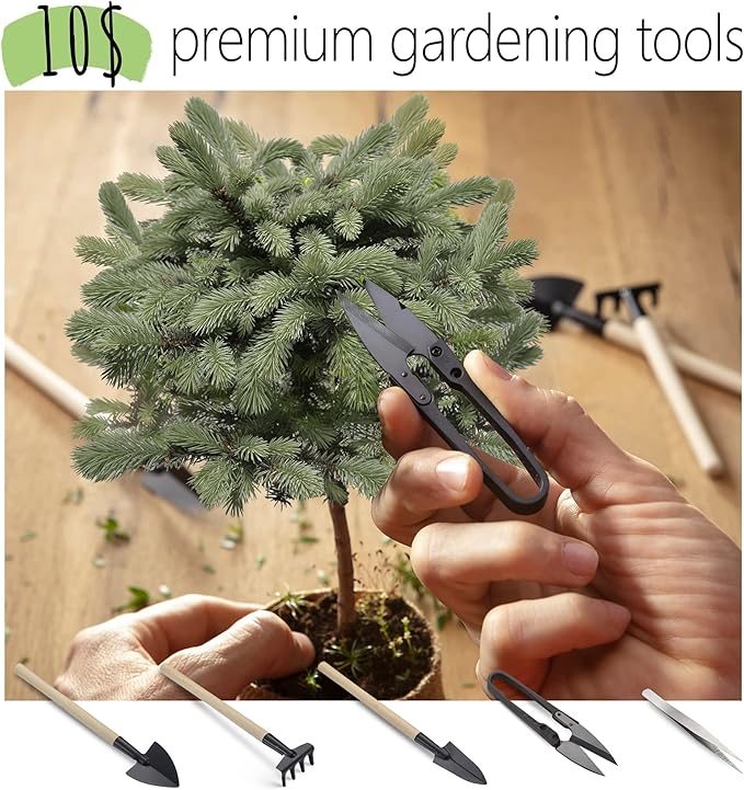 Bonsai Starter Kit ??Growing Jacaranda Bonzai Tree | Complete Indoor Tree Kit for Growing Plants with Tools & Planter ??Gardening Gifts for Mother, Women & Men