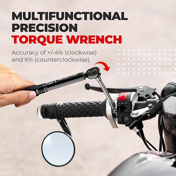 PRO BIKE TOOL Click Bicycle Torque Wrench Set, 2-20 Nm - Includes Storage Box, Allen & Torx Sockets, Extension Bar