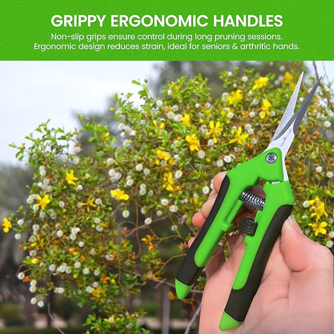 Garden Guru Razor Sharp Snip - Professional Garden Pruning Shears Trimmers Scissors ??Micro-Tip Precision Stainless Steel Blades - Easy on Arthritic Hands - Soft Ergonomic Rubber Handles (4 Pack)