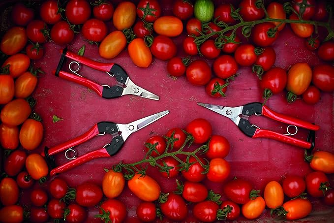 Felco F321 Pruning Snips ??7" Garden Clippers with Curved Blade & Rounded Tip | Pruning Shears for Gardening | Garden Snips and Pruners with Carbon Steel Blade, Sap Groove