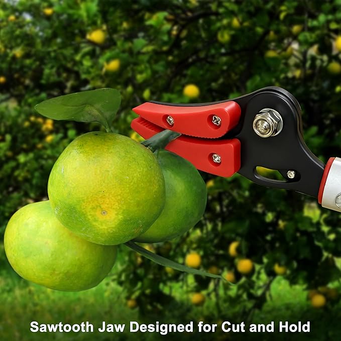 Tree Pruner, 4 FT Long Reach Pruner with SK5 Steel Blade, Aluminum Pole Tree Trimmer, Fruit Picking Tool