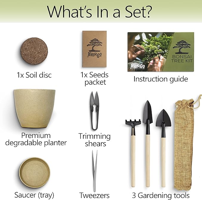 Bonsai Starter Kit ??Growing Jacaranda Bonzai Tree | Complete Indoor Tree Kit for Growing Plants with Tools & Planter ??Gardening Gifts for Mother, Women & Men