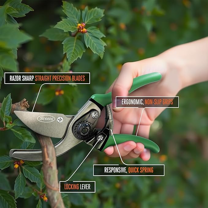Scotts 2-Piece Pruning Shears Set ??Includes 8 in. Bypass Pruner for Live Plants and 8 in. Anvil Pruner for Dry Stems ??Sharp Carbon Steel Blades and Comfort Grip Handles for Garden and Yard Use