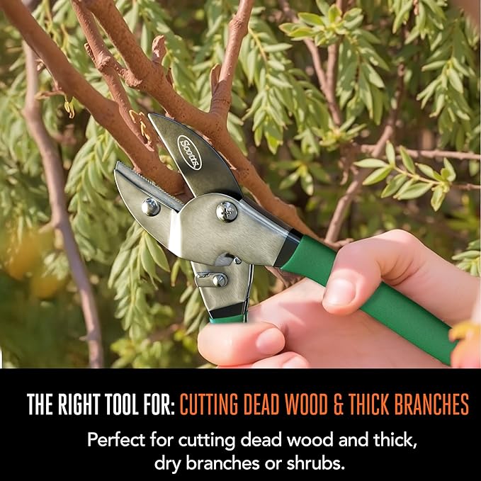 Scotts 2-Piece Pruning Shears Set ??Includes 8 in. Bypass Pruner for Live Plants and 8 in. Anvil Pruner for Dry Stems ??Sharp Carbon Steel Blades and Comfort Grip Handles for Garden and Yard Use