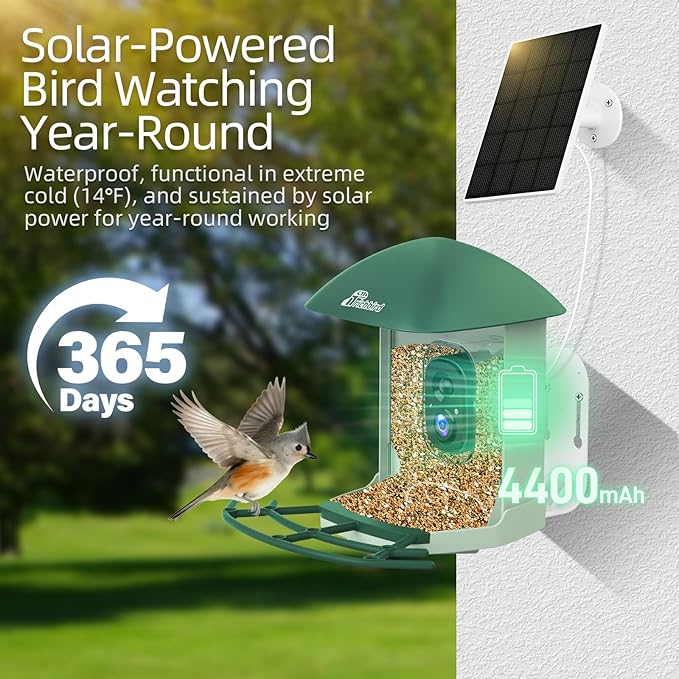 Upgraded Smart Bird Feeder with 4MP HD Camera, Birdwatching Camera with AI Identify Birds & Solar Panel for Outdoors, Auto Video Capture & Instant Notifications, Forest Green