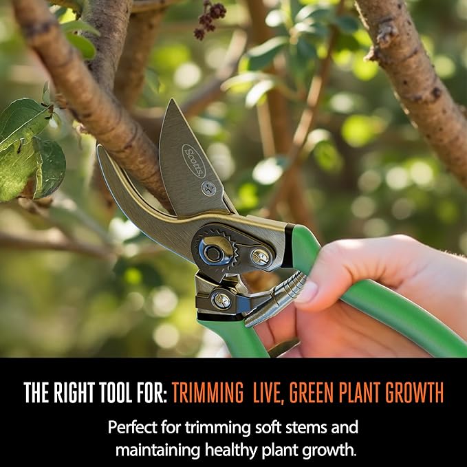 Scotts 2-Piece Pruning Shears Set ??Includes 8 in. Bypass Pruner for Live Plants and 8 in. Anvil Pruner for Dry Stems ??Sharp Carbon Steel Blades and Comfort Grip Handles for Garden and Yard Use