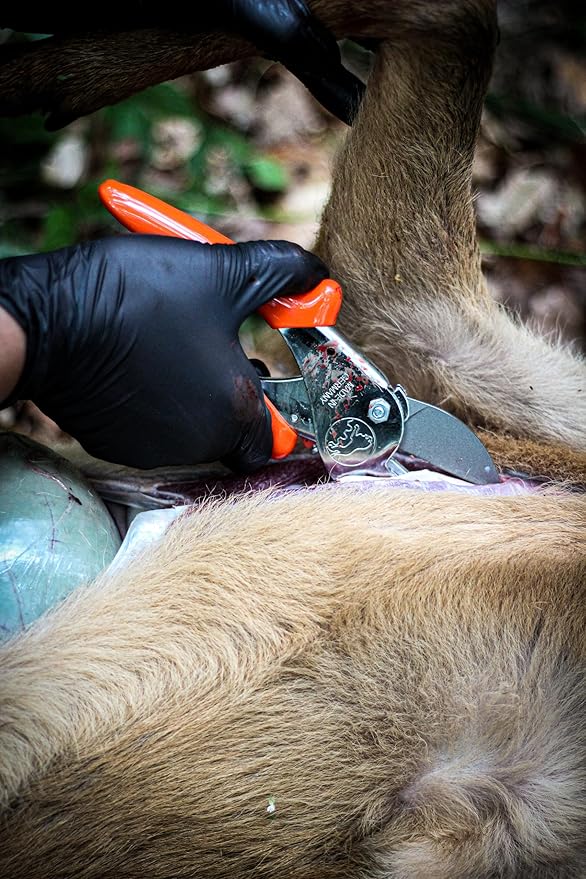 Original L횜WE Professional Hunting Shears 1.117 | Robust Anvil Scissors as Alternative for Hunting Knives | Use For Game & Meat Processing, Bone Cutting & Pruning | Carbon Steel | Made in Germany