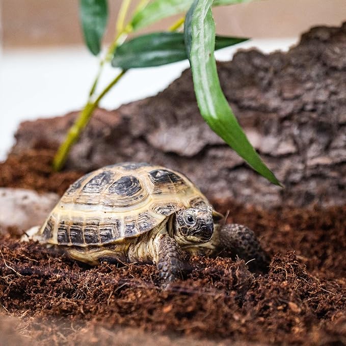 Elevate Your Terrariums with Gardenera Terrarium Potting Mix - Carefully Mixed Coco Coir, Charcoal, Pumice, and Vermiculite - 10 QUARTS