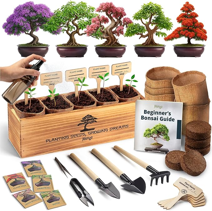DIY Bonsai Tree Kit for Beginners ??5X Unique Japanese Bonzai Trees | Complete Indoor Bonsai Starter Kit for Growing Bonsai Plants with Tools & Planters ??DIY Gardening Gifts for Women & Men
