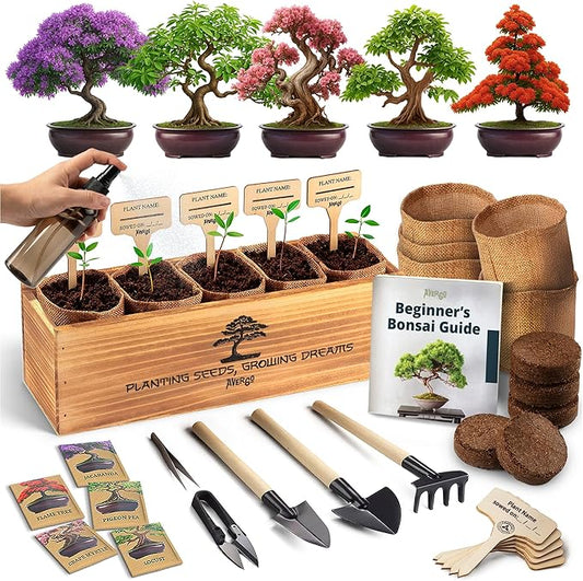 DIY Bonsai Tree Kit for Beginners ??5X Unique Japanese Bonzai Trees | Complete Indoor Bonsai Starter Kit for Growing Bonsai Plants with Tools & Planters ??DIY Gardening Gifts for Women & Men