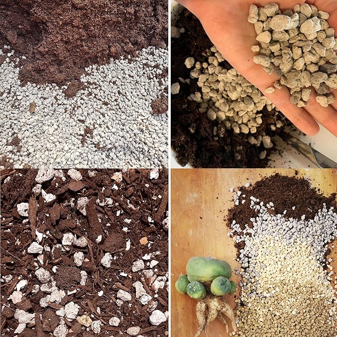 Horticultural Pumice for Plants Professional Sifted (12QT, 1/2 inch)