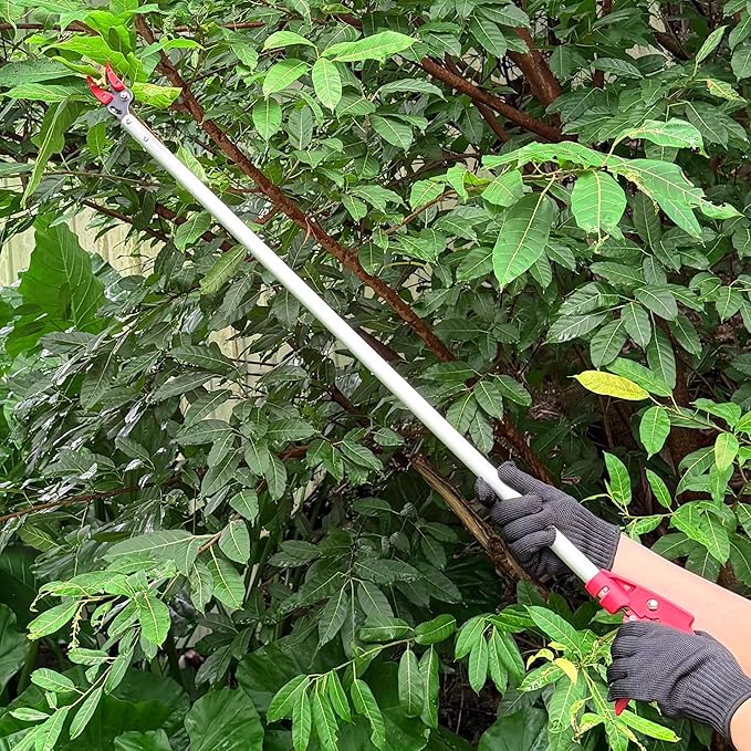 Tree Pruner, 4 FT Long Reach Pruner with SK5 Steel Blade, Aluminum Pole Tree Trimmer, Fruit Picking Tool