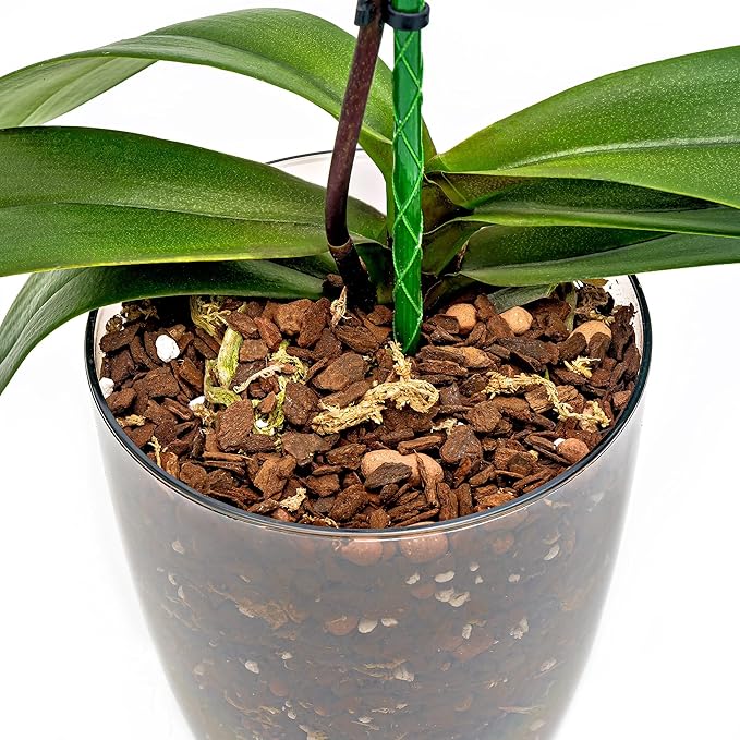 Premium Orchid Soil Mix by Gardenera - Hand Mixed New Zealand Pinus Radiata 100% Natural Potting Soil Bark Mix - for Phalaenopsis Orchid - 4 Quart - Made in USA