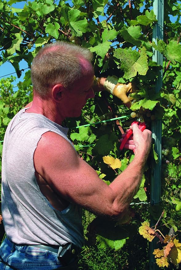 Felco F310 Pruning Snips ??7.3" Lightweight Garden Clippers for Fine Trimming & Harvesting | Pruning Shears for Gardening | Garden Snips and Pruners with Forged Aluminum Handles, Precision Tip