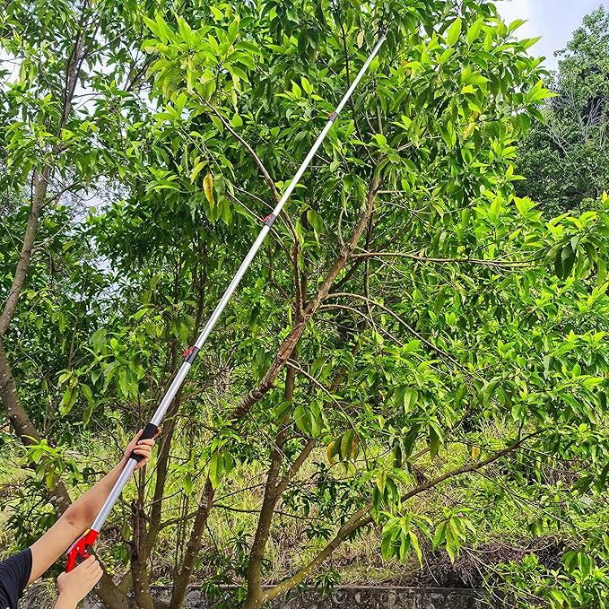 Tree Pruner Extendable 4.5-11.5 FT, Tree Trimmer Telescoping with 4 Section, Long Handle Pruning Shears, Cut and Hold Clippers, Pole Saws Branch Cutter, Loppers, Fruit Picker Tool